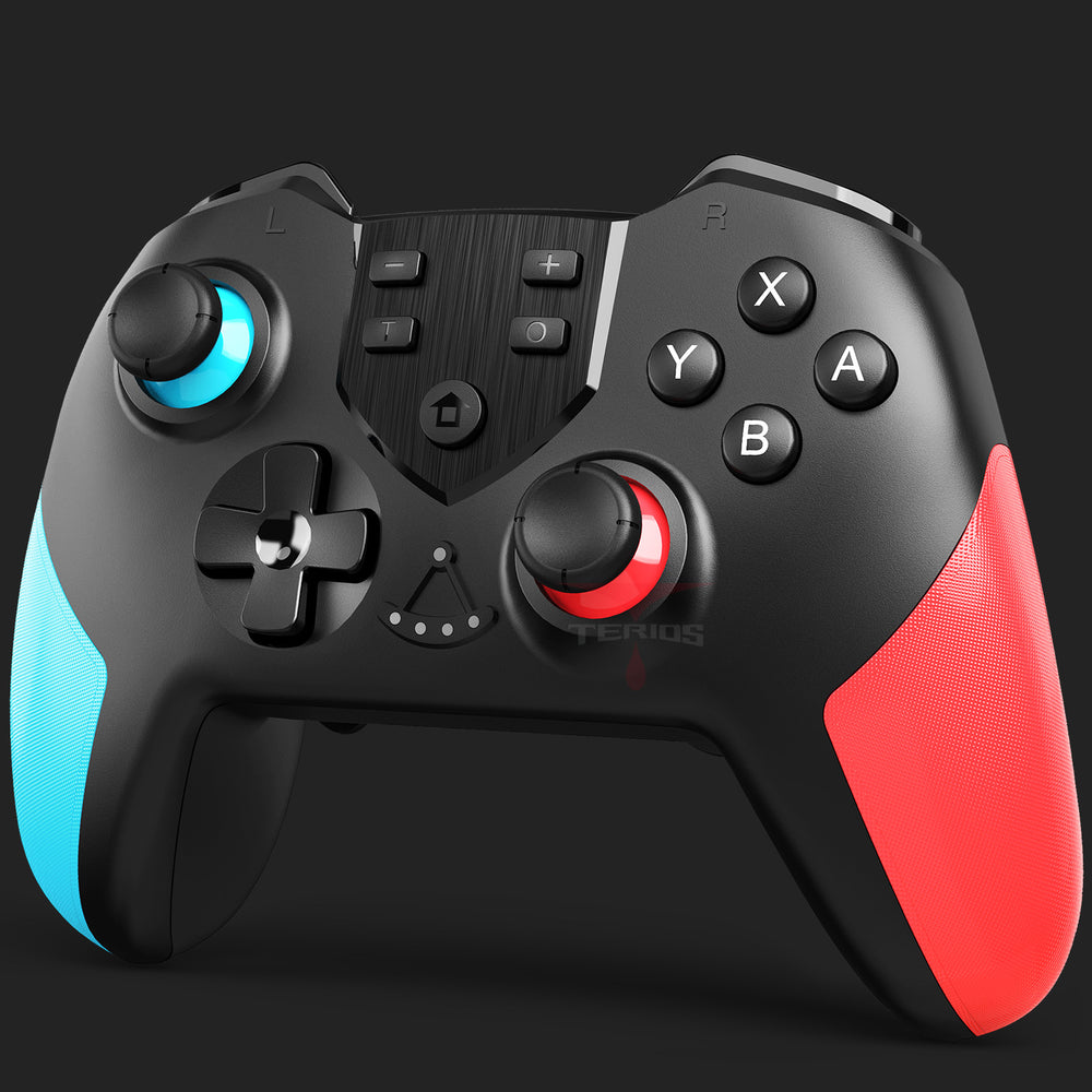 Nintendo Switch Controllers – TERIOS Gaming